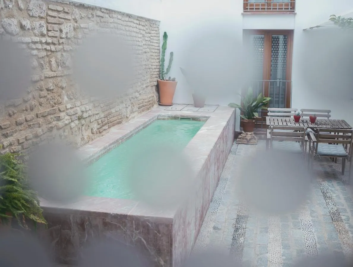 Grupo Limcotel Loft Trigo 13 Piscina Córdoba España